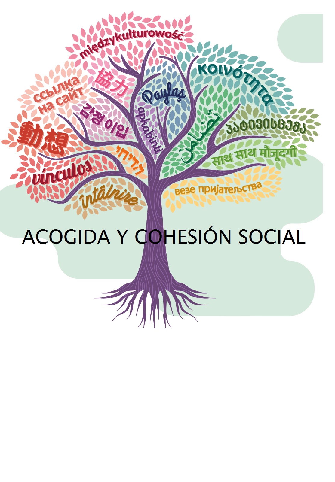 Proyectos de Acogida y Cohesión Social Ayuntamiento de Alicante