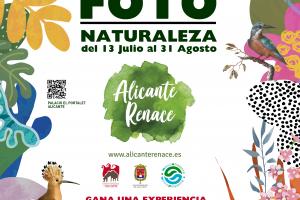 cartel exposición Alicante renace 2024