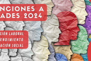 Subvenciones a entidades 2024