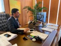 El alcalde de Alicante, Luis Barcala, en la sesión telemática del pleno extraordinario