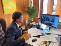 El alcalde de Alicante, Luis Barcala, en el Pleno telemático