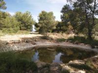 Abrevadero para fauna en monte Orgegia