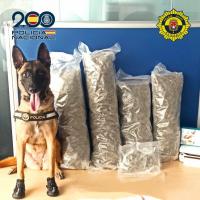 Unidad Canina de la Policía Local