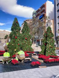 Adornos navideños con plantas