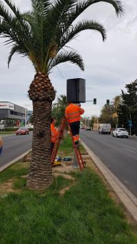 Nuevos postes para los radares en la avenida de Dénia