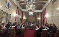 Imagen de la votación del Pleno del Ayuntamiento de Alicante.