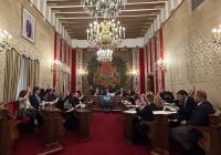 Imagen de la votación del Pleno del Ayuntamiento de Alicante.