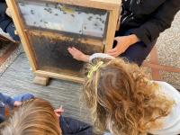 Imagen de la actividad con escolares de la campaña con insectos polinizadores urbanos