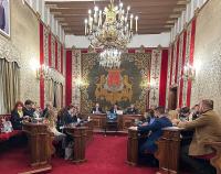 Imagen del Pleno del Ayuntamiento de Alicante.